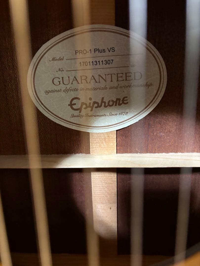 EPIPHONE PRO-1 plus vsギター