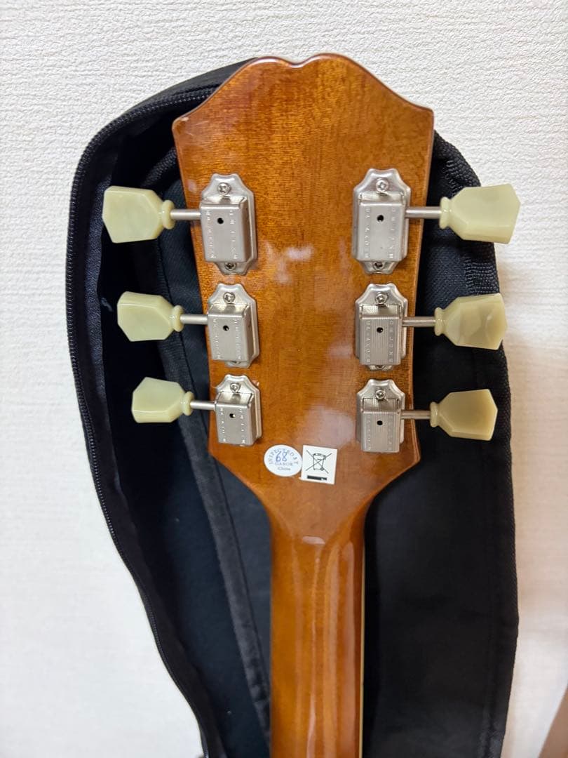 EPIPHONE PRO-1 plus vsギター