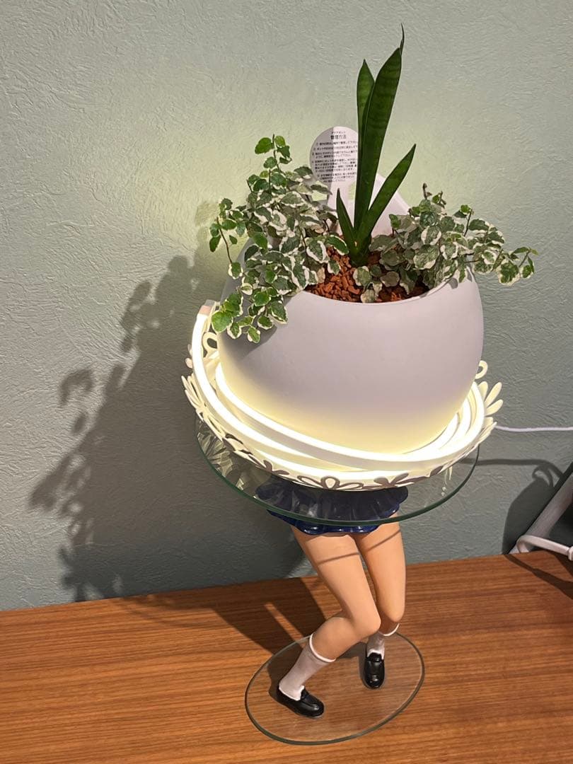 おもしろガラステーブル【チアガール】レアな商品です。