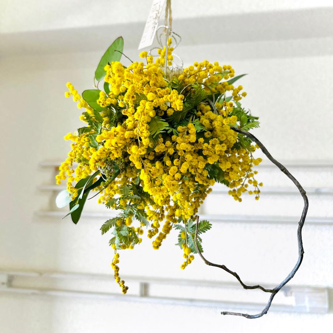 ミモザリース　ミモザフライングリース　ミモザスワッグ　ミモザボール　ボールリース