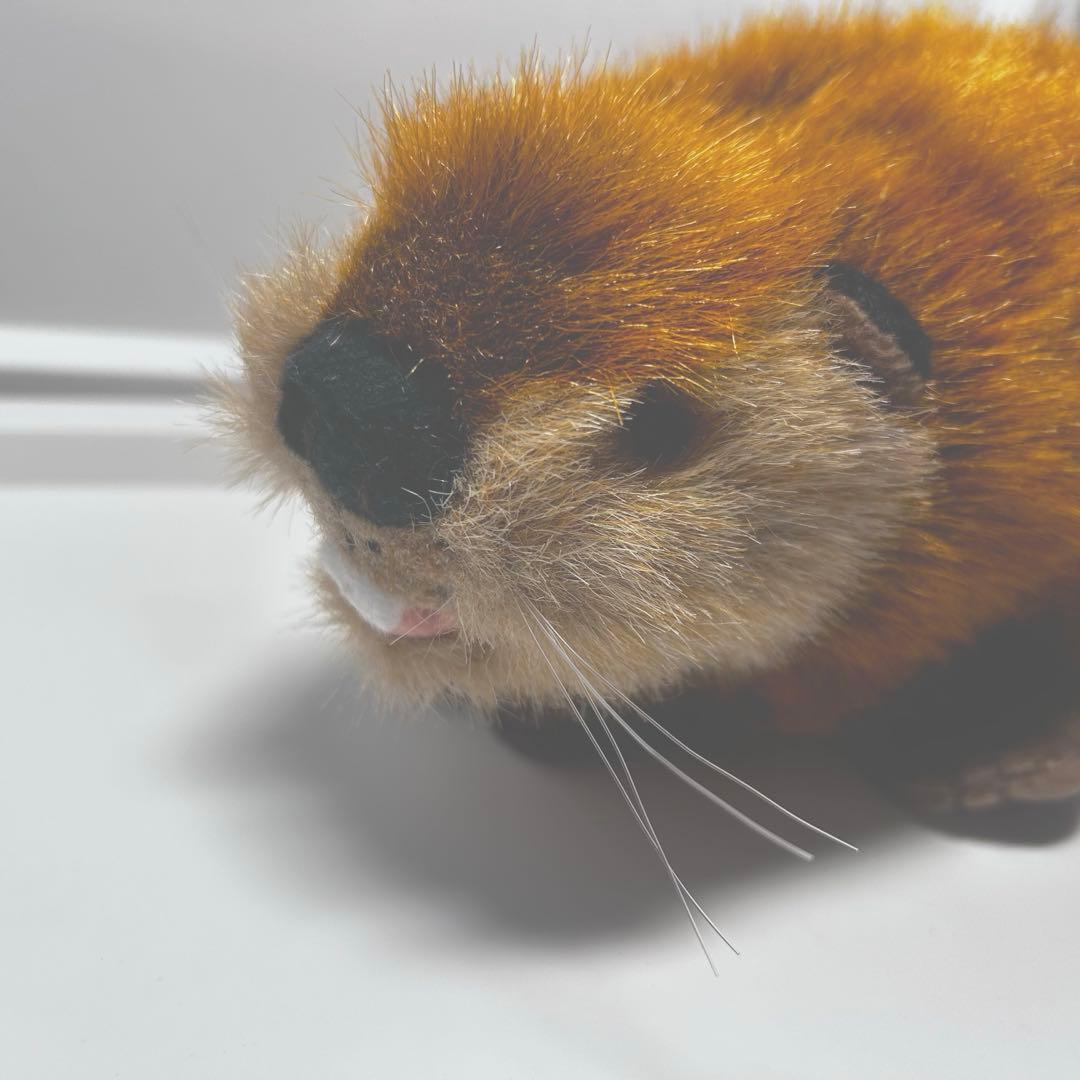 スーパービーバーちゃん