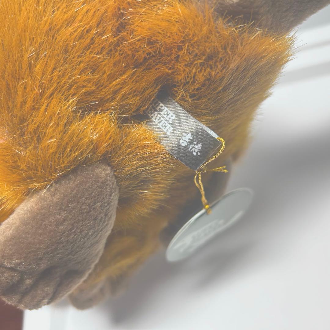 スーパービーバーちゃん