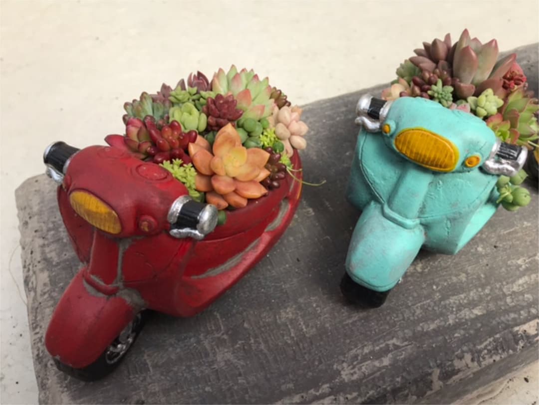多肉の寄せ植え★flower bike フラワーバイク 赤色★