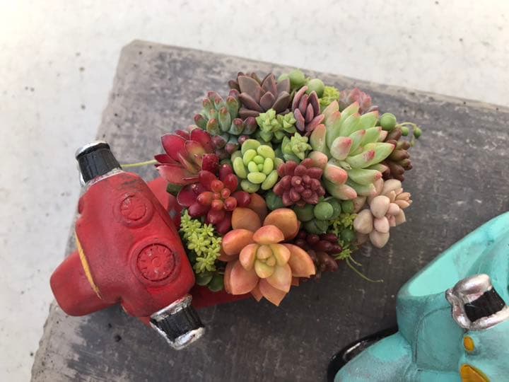 多肉の寄せ植え★flower bike フラワーバイク 赤色★