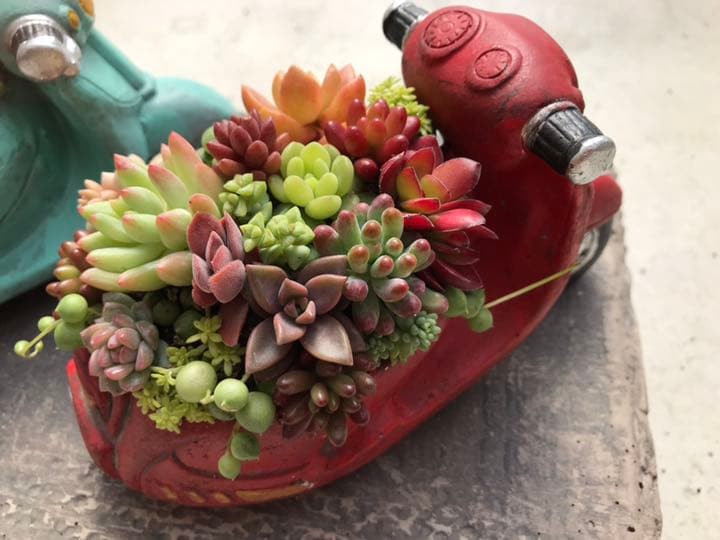 多肉の寄せ植え★flower bike フラワーバイク 赤色★