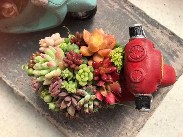 多肉の寄せ植え★flower bike フラワーバイク 赤色★