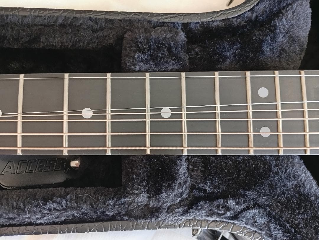 生産完了RainSong “Made in USA\"エレアコ w/OHC EX+