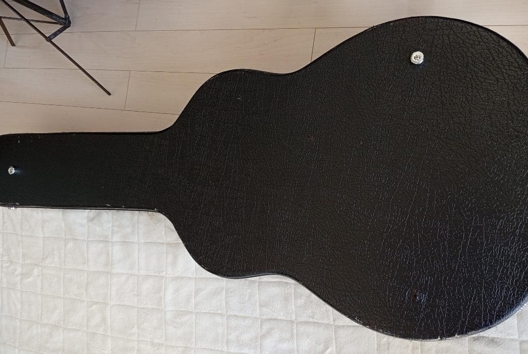 生産完了RainSong “Made in USA\"エレアコ w/OHC EX+