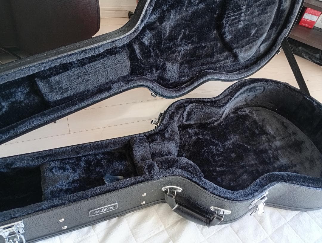 生産完了RainSong “Made in USA\"エレアコ w/OHC EX+