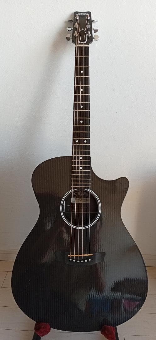 生産完了RainSong “Made in USA\"エレアコ w/OHC EX+