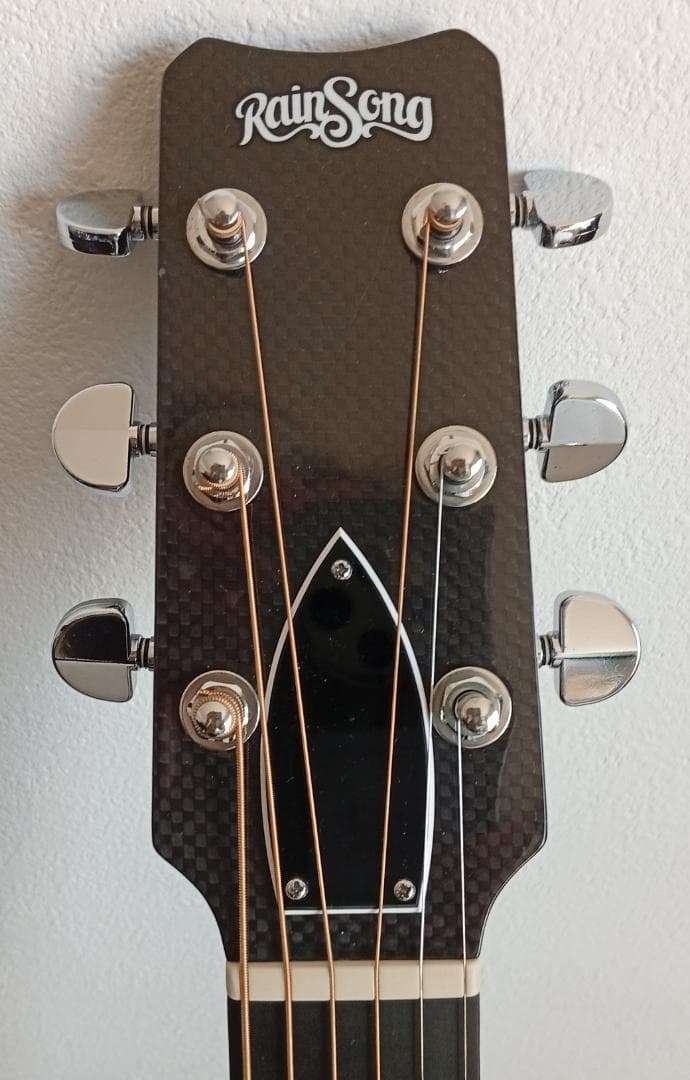 生産完了RainSong “Made in USA\"エレアコ w/OHC EX+