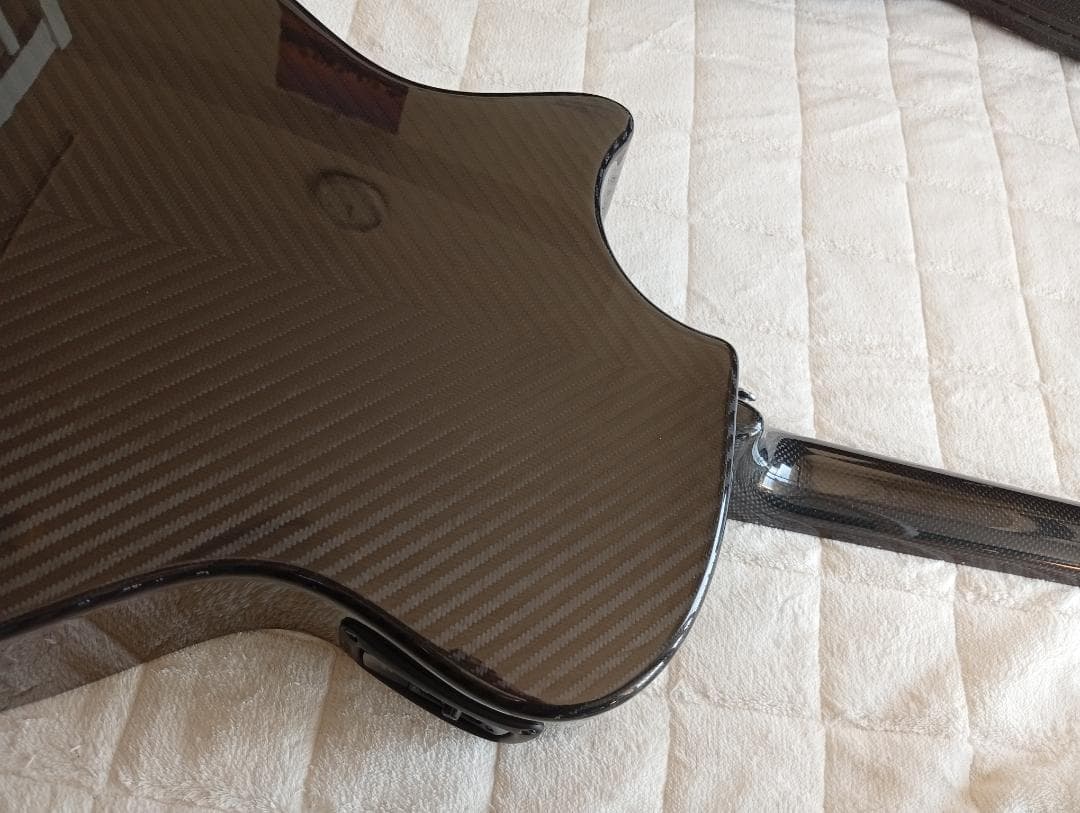 生産完了RainSong “Made in USA\"エレアコ w/OHC EX+