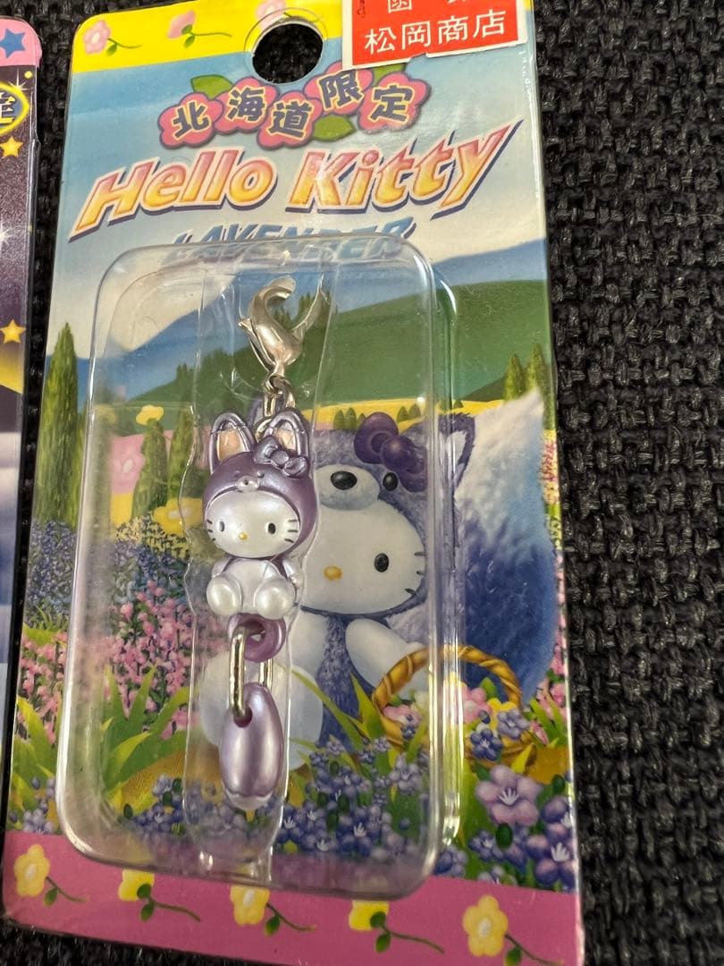 北海道限定 ハローキティ 根付ストラップ＆チャームセット 10点まとめ売り