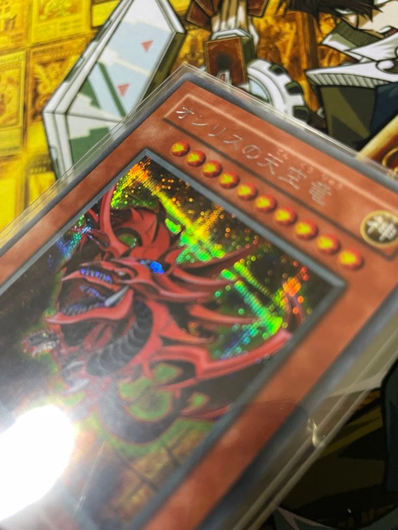 ふ*ち様 【超希少】オシリスの天空竜　非貫通シク