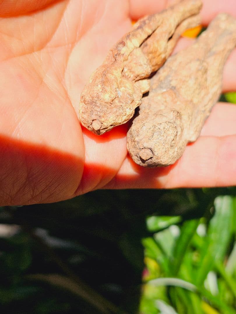 特級呪物✡️ナリーポンとマカリーポンのセット