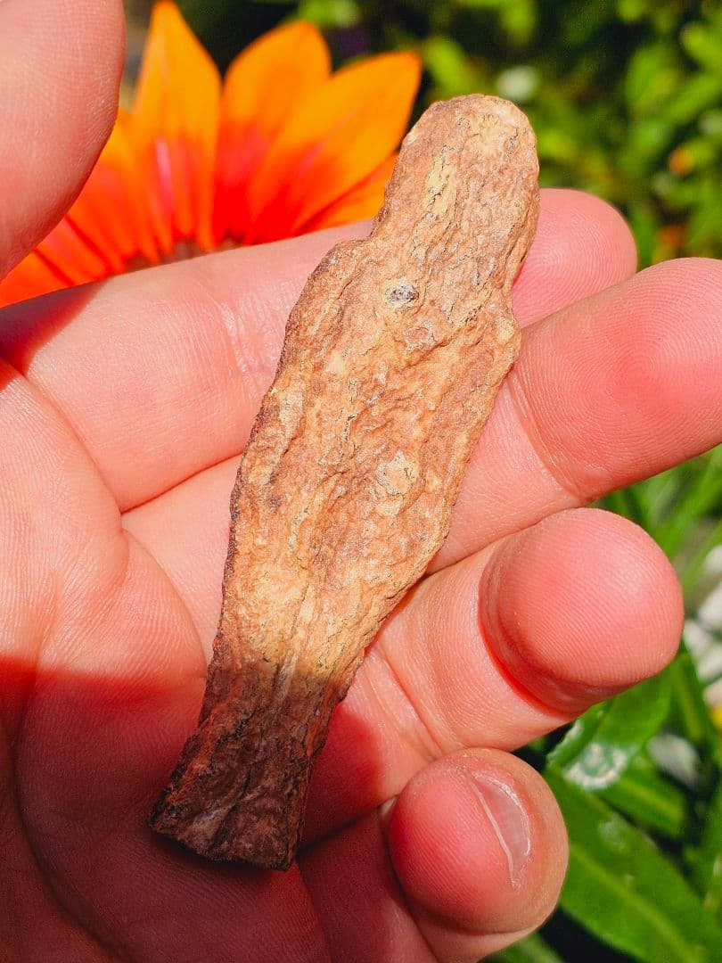 特級呪物✡️ナリーポンとマカリーポンのセット