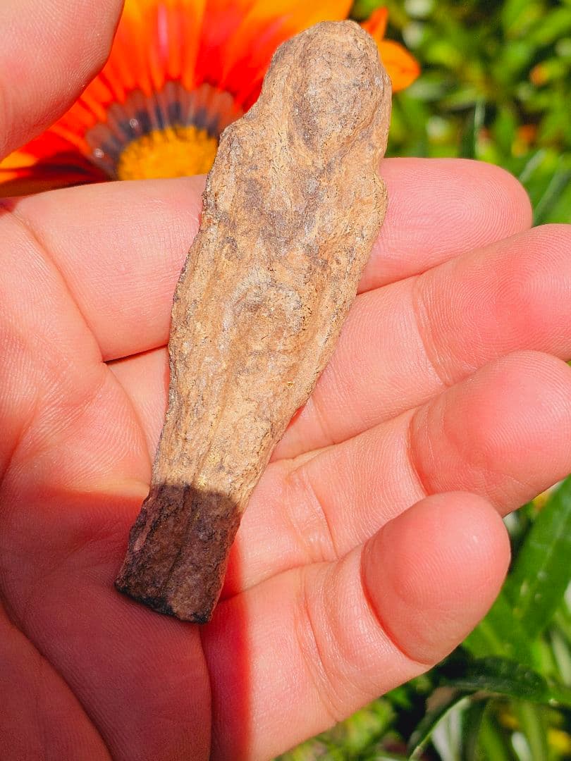 特級呪物✡️ナリーポンとマカリーポンのセット