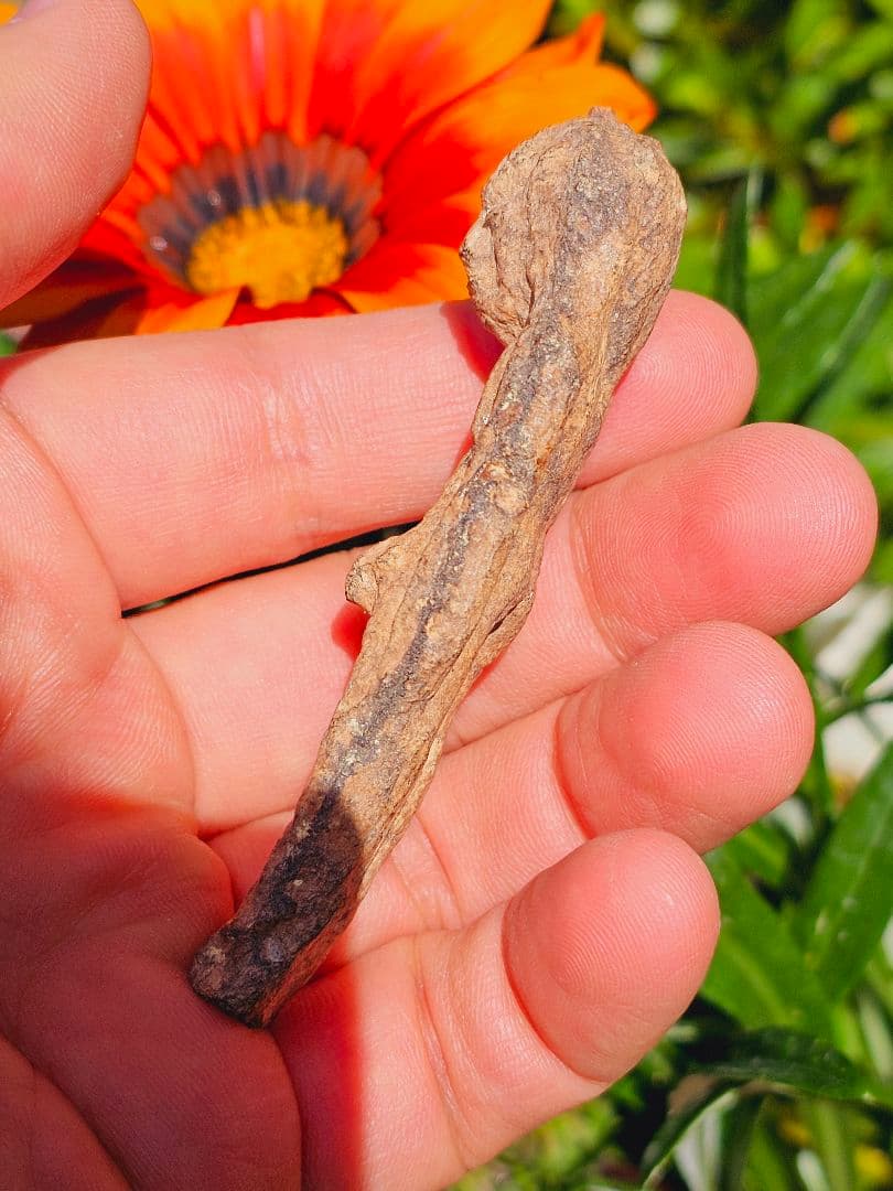 特級呪物✡️ナリーポンとマカリーポンのセット