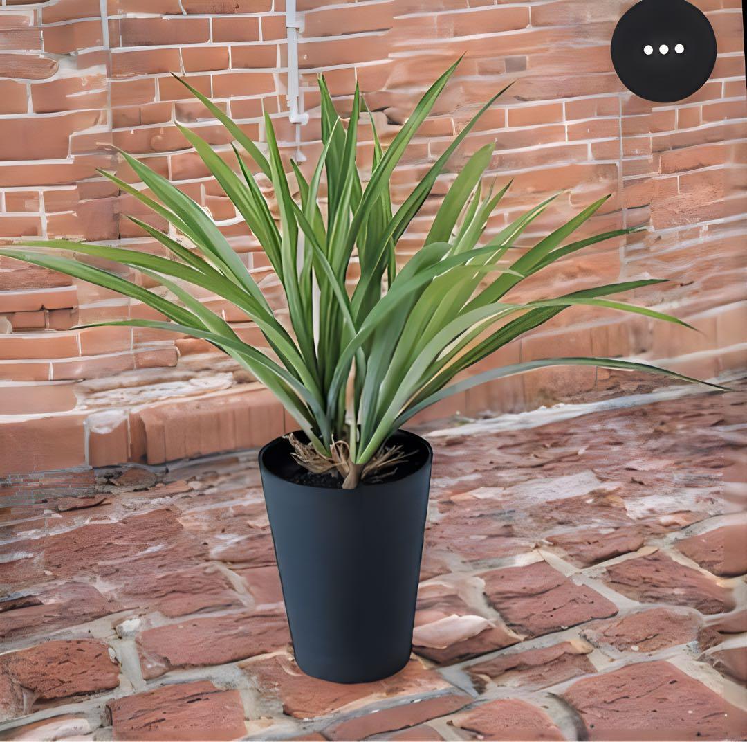 光触媒　人工観葉植物　ウォールグリーン　フェイクグリーン　アオオリヅルラン