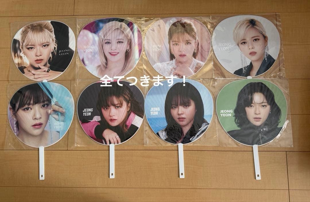 TWICE ジョンヨン うちわ イメージピケット ソウルコン 韓国 全40点！！