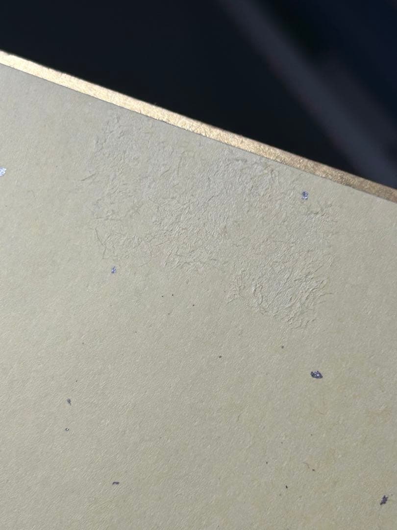 プロセカ 色紙 青柳冬弥 キャンプ 17C