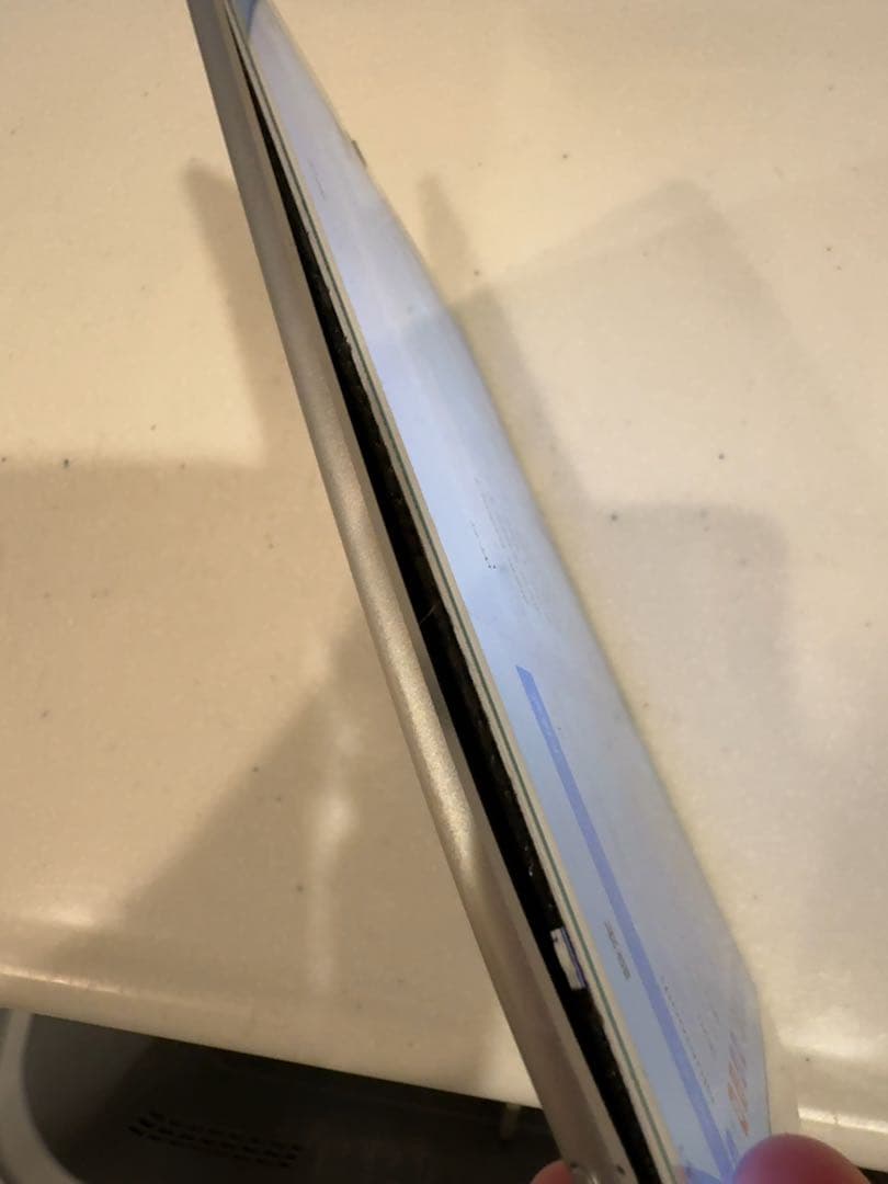 iPad Pro 10.5 256GB パネル浮きあり 返品不可