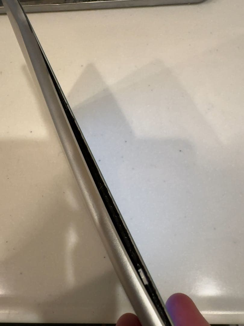 iPad Pro 10.5 256GB パネル浮きあり 返品不可