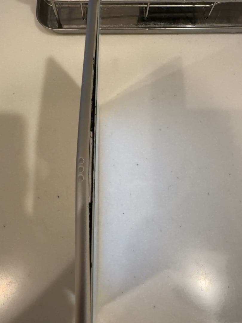 iPad Pro 10.5 256GB パネル浮きあり 返品不可