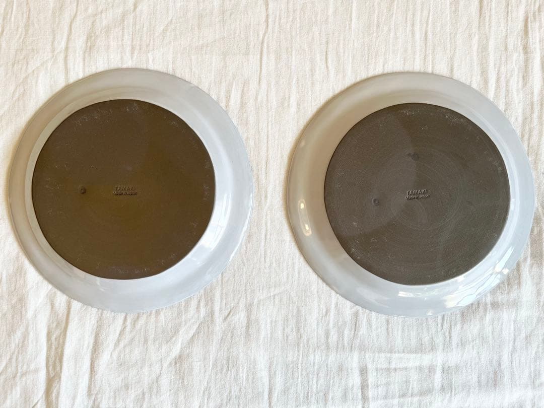 美濃焼 日本製 TAMAKI カラン リムプレート26 2枚セット