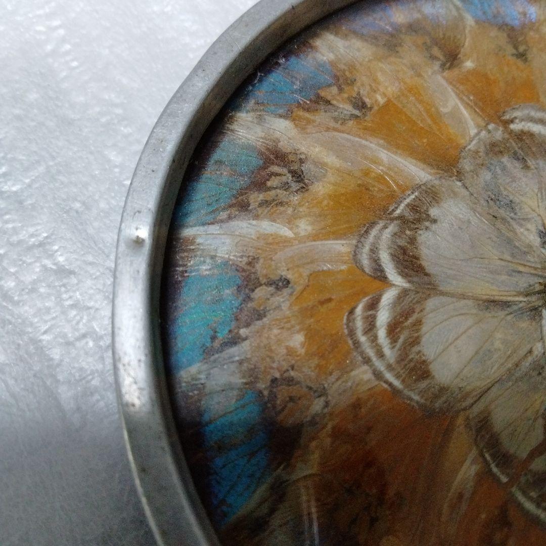 蝶 羽根細工 1960年代 バタフライアート ペーパーウェイト ブルーライン