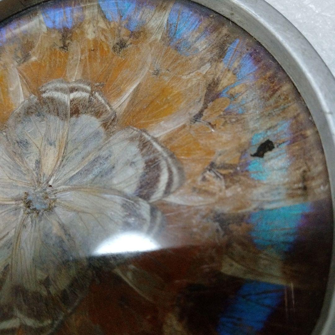 蝶 羽根細工 1960年代 バタフライアート ペーパーウェイト ブルーライン