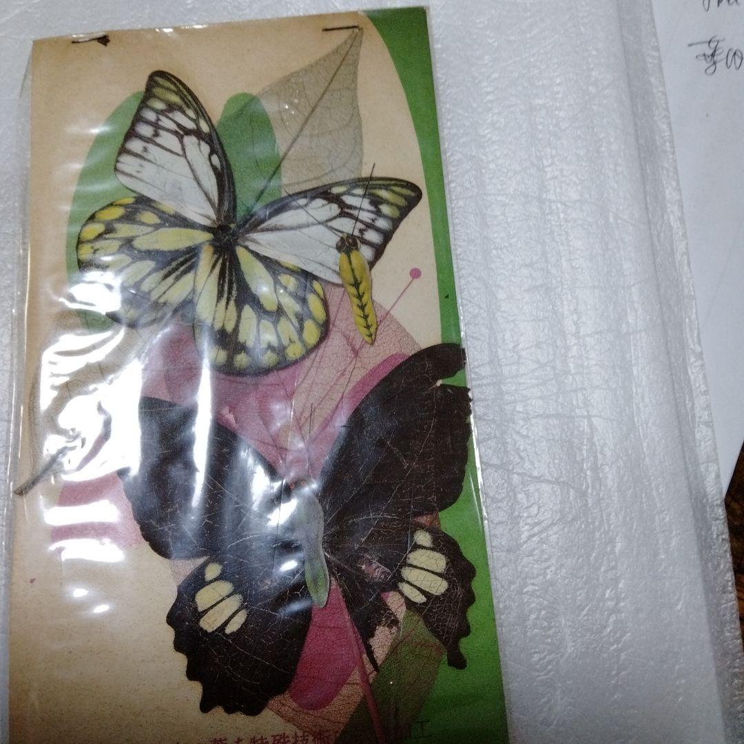 蝶 羽根細工 1960年代 バタフライアート ペーパーウェイト ブルーライン