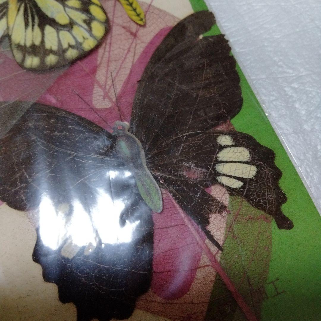 蝶 羽根細工 1960年代 バタフライアート ペーパーウェイト ブルーライン