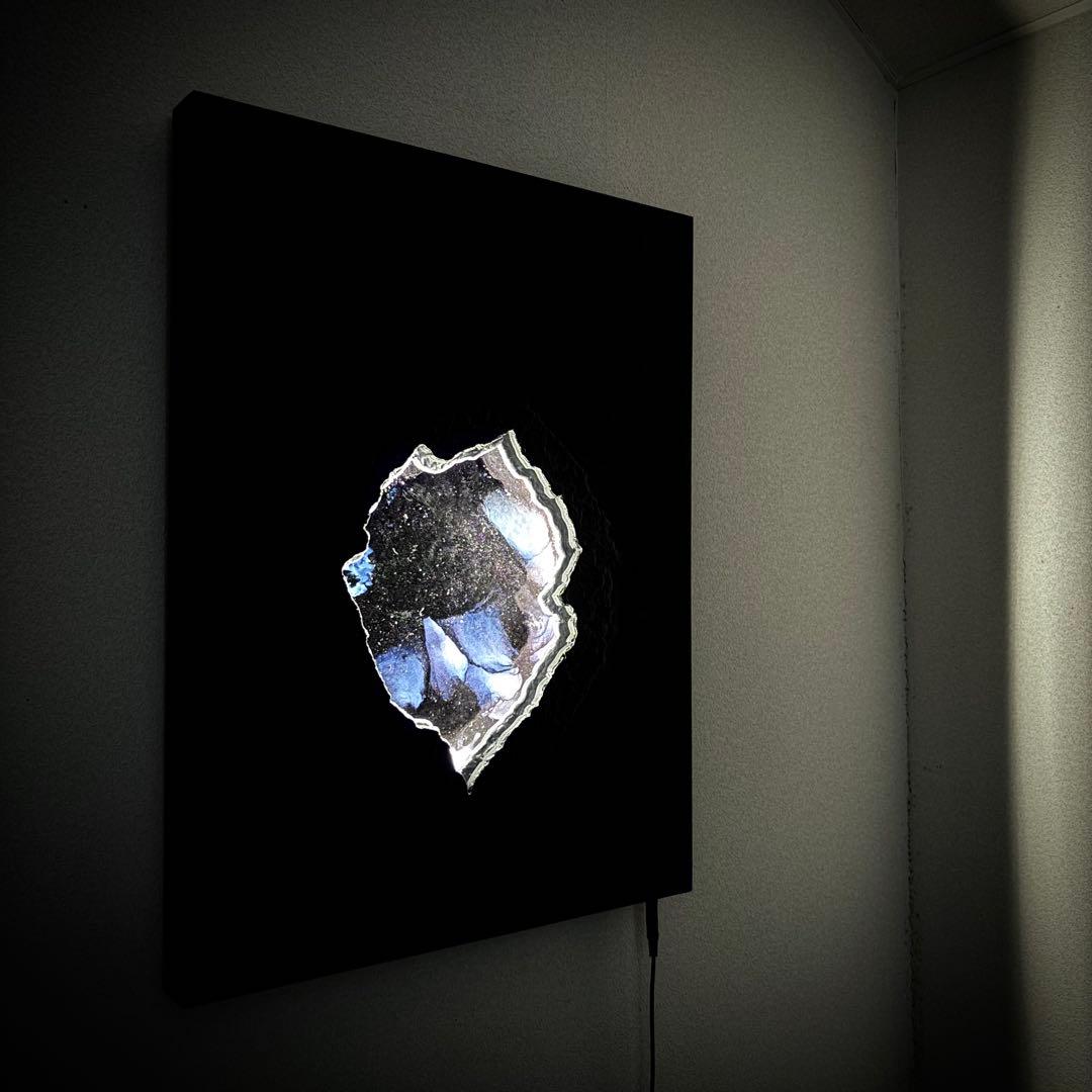 壁掛け照明　深海　60×45cm ABYSS 一点物インテリア　空間標本　モダン