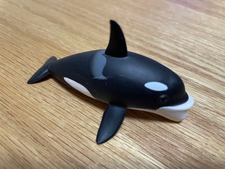 シャクレルプラネット　①②③④⑤、ブラック、ダイナソー　フルコンプ