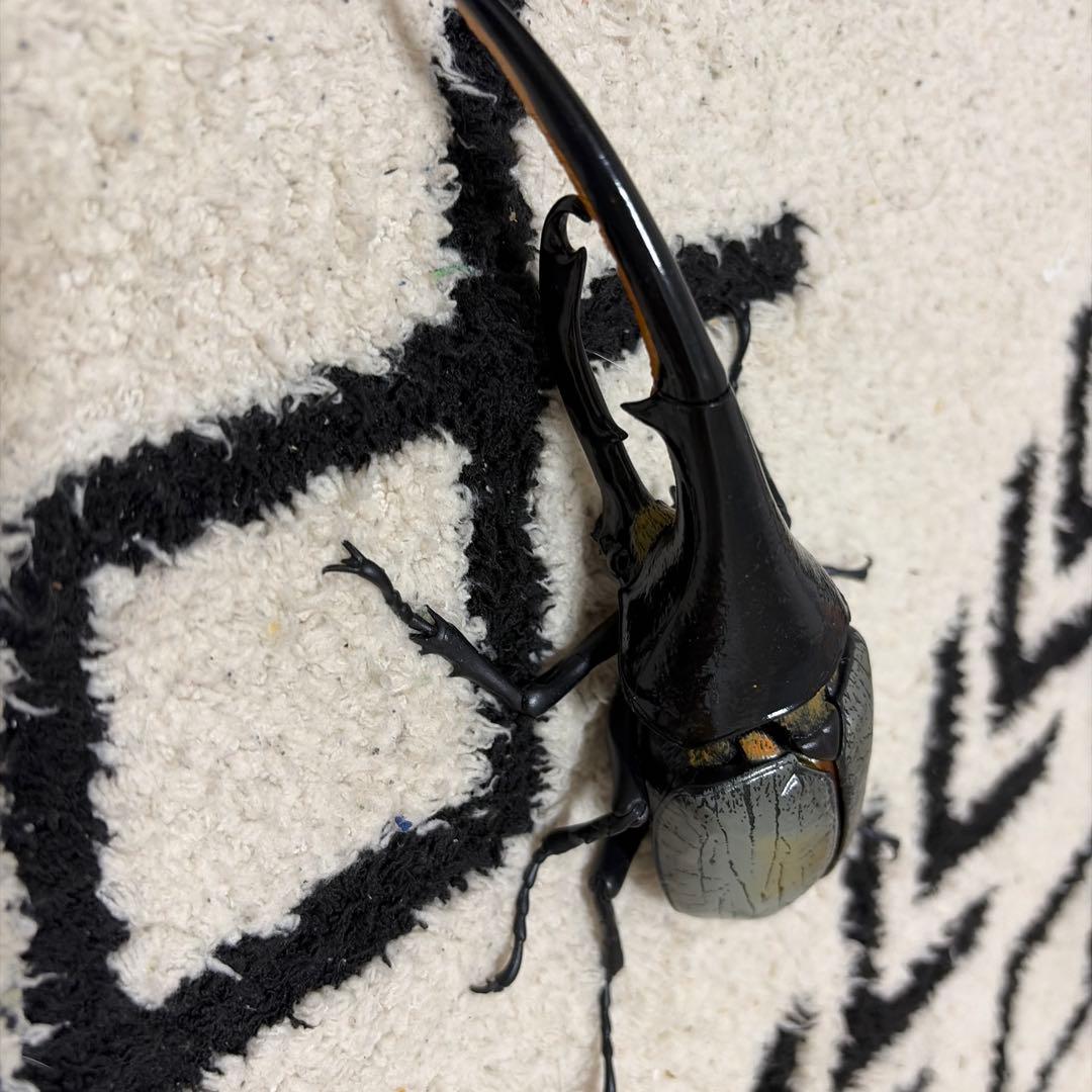 いきもの大図鑑アドバンスヘラクレスオオカブト