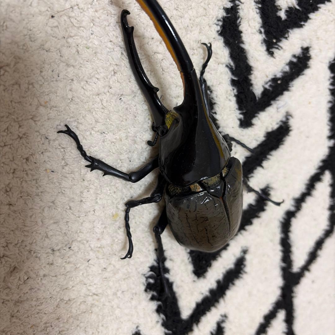 いきもの大図鑑アドバンスヘラクレスオオカブト