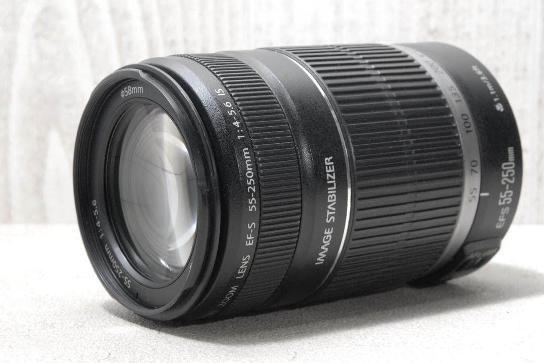 ✨Canon EOS Kiss X5✨ ダブルズーム バリアングル液晶 初心者