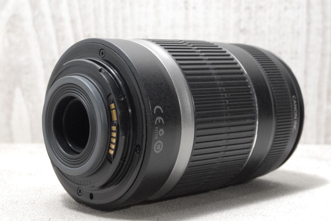 ✨Canon EOS Kiss X5✨ ダブルズーム バリアングル液晶 初心者