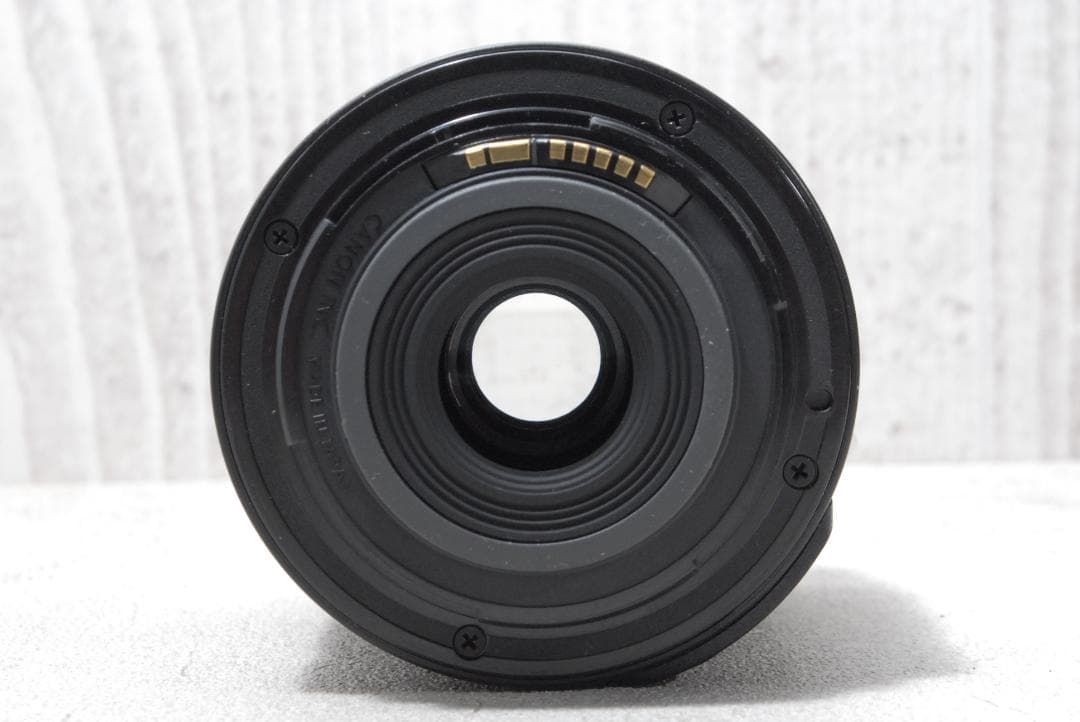 ✨Canon EOS Kiss X5✨ ダブルズーム バリアングル液晶 初心者