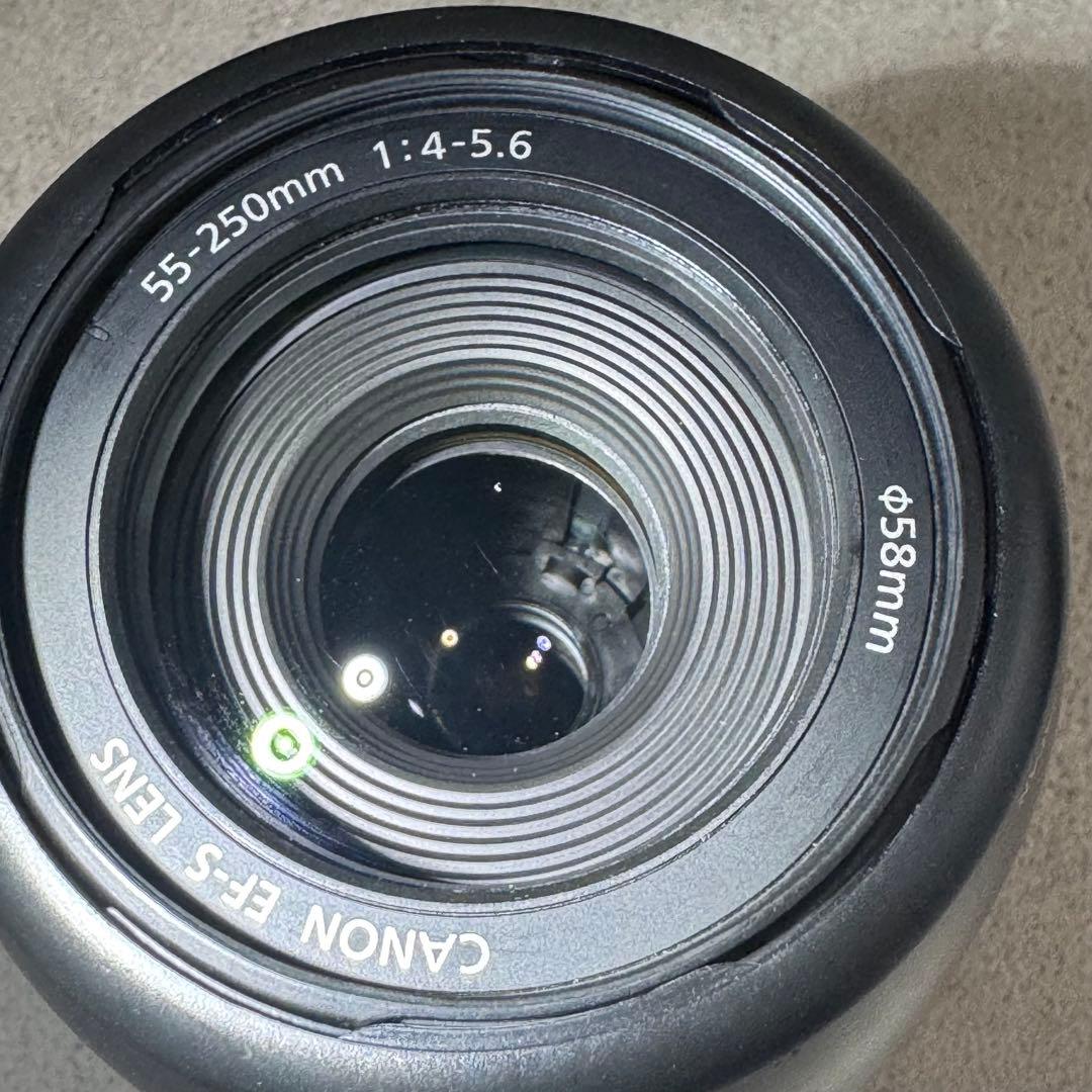 ✨Canon EOS Kiss X5✨ ダブルズーム バリアングル液晶 初心者