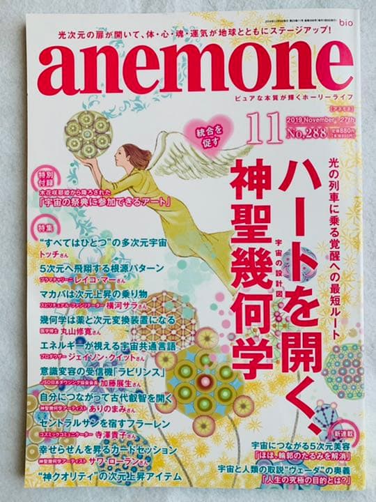資料付き✨フラーレン　カーネリアン6mm A A A グレートセントラルサン