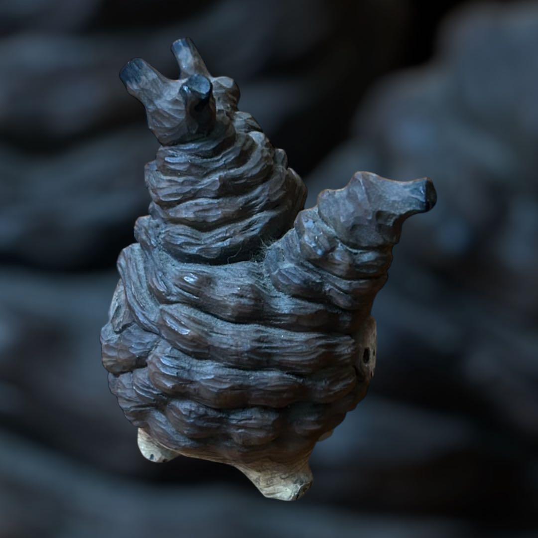 羅本製所ROBINCERAMICSTUDIO x kinoco pachypus