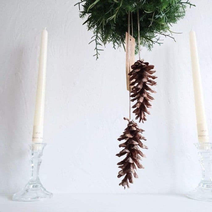 魔女の棲む森 ～木の実と詩～ ドライフラワー フライングリース 【order】