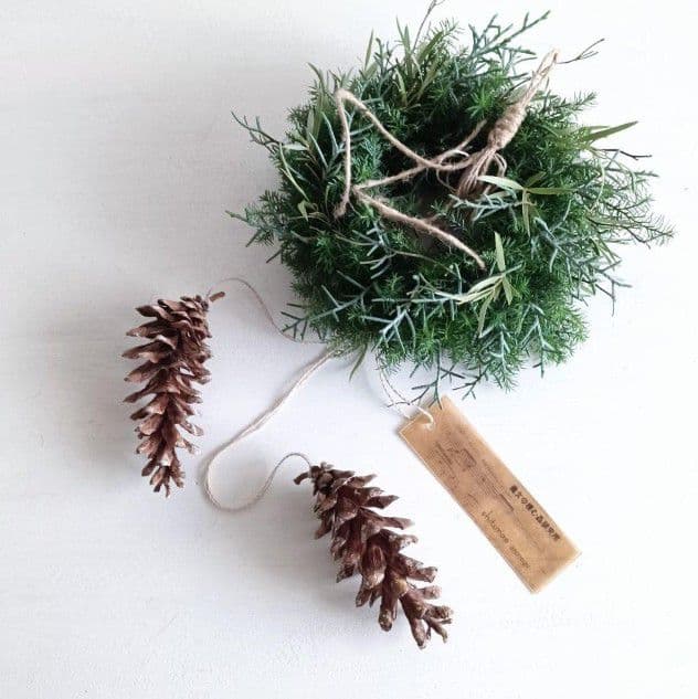 魔女の棲む森 ～木の実と詩～ ドライフラワー フライングリース 【order】