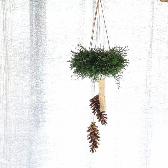 魔女の棲む森 ～木の実と詩～ ドライフラワー フライングリース 【order】