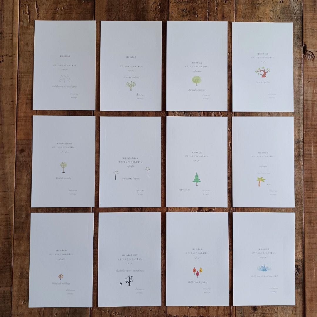 魔女の棲む森 ～木の実と詩～ ドライフラワー フライングリース 【order】