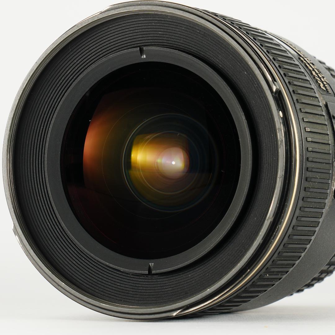 テスト済 Nikon AF-S Nikkor 17-35mm F2.8D 100