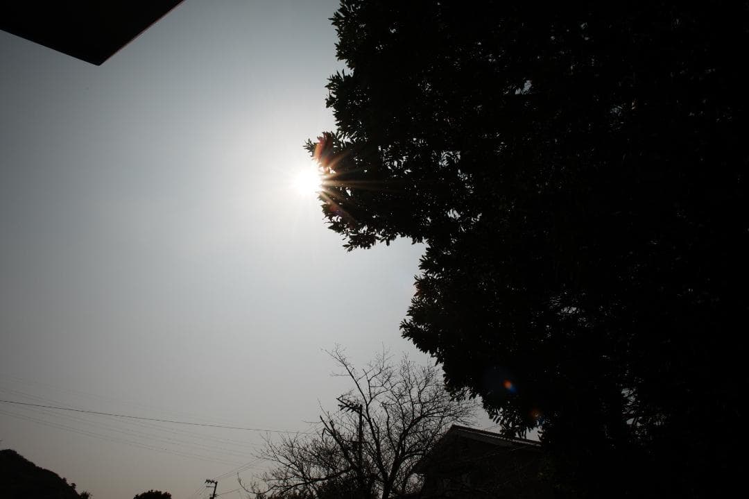 テスト済 Nikon AF-S Nikkor 17-35mm F2.8D 100