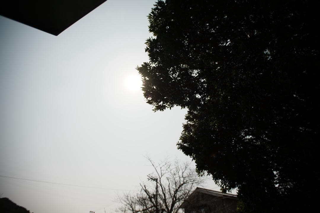 テスト済 Nikon AF-S Nikkor 17-35mm F2.8D 100